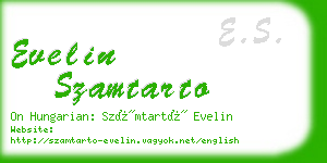 evelin szamtarto business card